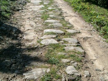 Percorsi trekking, Cortona