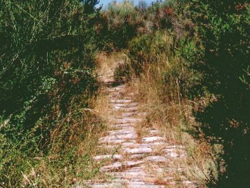 Percorsi trekking, Cortona