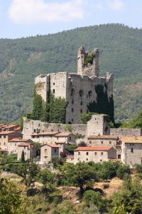 Rocca di Pierle