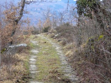 Percorsi trekking, Cortona