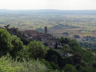 Tuscan Tours and Weddings - Cortonaweb